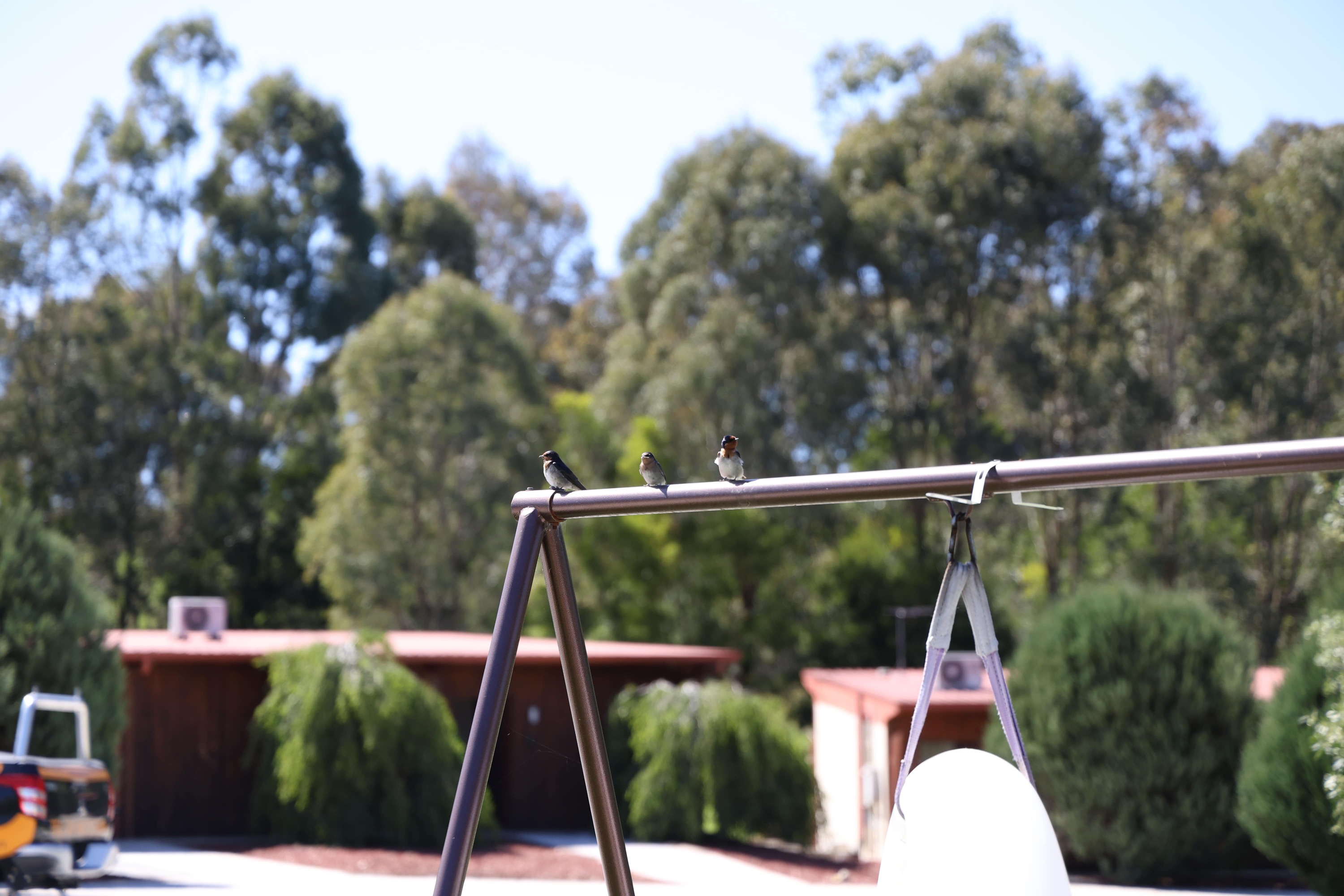 Outdoor play area