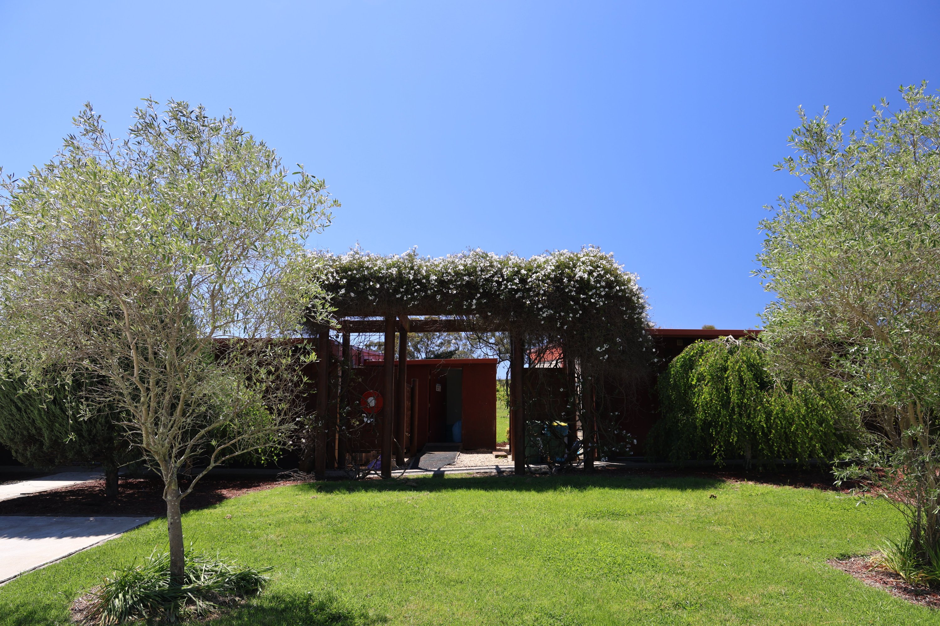 Garden and pergola