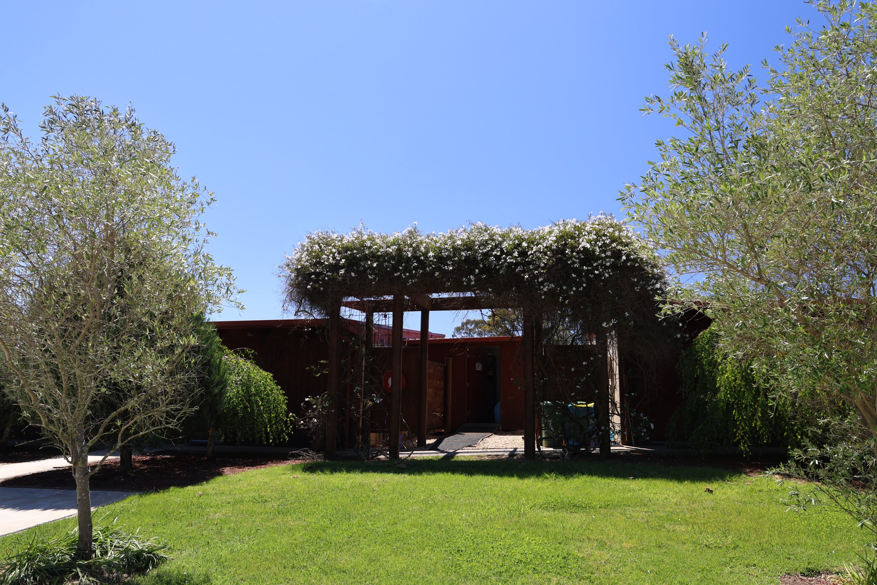 Lawn and established gardens