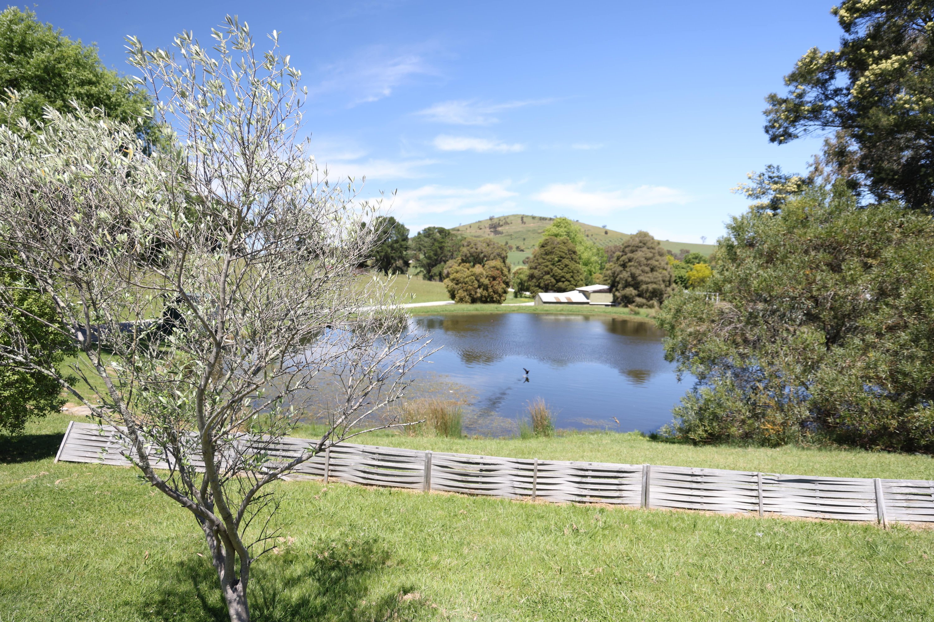 Lake view across the property